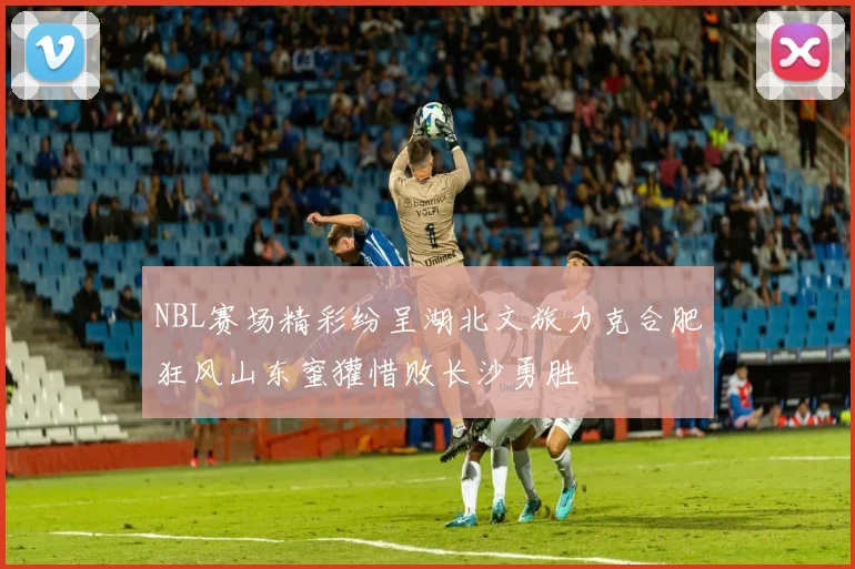 NBL赛场精彩纷呈湖北文旅力克合肥狂风山东蜜獾惜败长沙勇胜