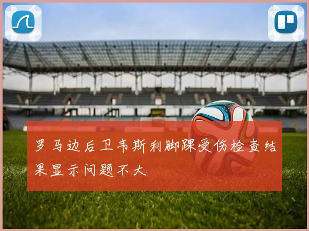 罗马边后卫韦斯利脚踝受伤检查结果显示问题不大